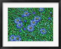 Framed Colorado, San Juan Mountains, Abstract Photo Of Showy Fleabane Flowers