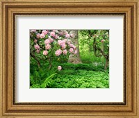 Framed Rhododendrons And Trees In A Park Setting