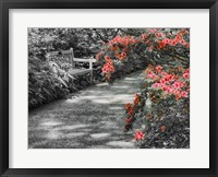 Framed Delaware, Walkway In A Garden With Azaleas And A Park Bench