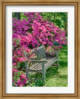Framed Delaware, A Dedication Bench Surrounded By Azaleas In A Garden