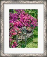 Framed Delaware, A Dedication Bench Surrounded By Azaleas In A Garden