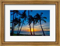 Framed Sunset And Silhouetted Palm Trees, Kihei, Maui, Hawaii