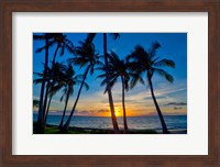 Framed Sunset And Silhouetted Palm Trees, Kihei, Maui, Hawaii