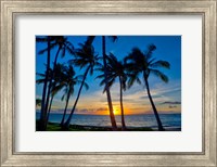 Framed Sunset And Silhouetted Palm Trees, Kihei, Maui, Hawaii