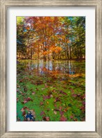 Framed Fall Foliage Reflection In Lake Water
