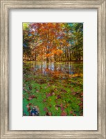 Framed Fall Foliage Reflection In Lake Water