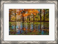 Framed Fall Foliage Reflection In Lake Water