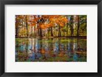 Framed Fall Foliage Reflection In Lake Water