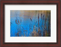 Framed Cattails At Edge Of Lake