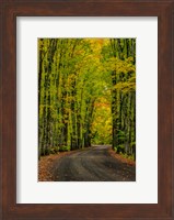 Framed Covered Road Near Houghton, Michigan