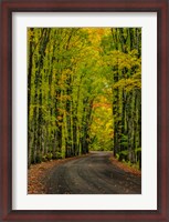 Framed Covered Road Near Houghton, Michigan