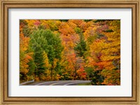 Framed Autumn Color Along Highway 26 Near Houghton, Michigan