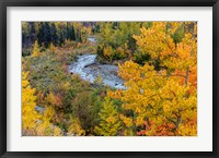 Framed Autumn Color Along Divide Creek In Glacier National Park, Montana