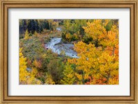 Framed Autumn Color Along Divide Creek In Glacier National Park, Montana