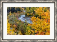 Framed Autumn Color Along Divide Creek In Glacier National Park, Montana
