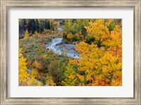 Framed Autumn Color Along Divide Creek In Glacier National Park, Montana