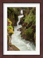 Framed Glacier National Park, Montana Avalanche Creek