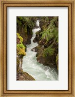 Framed Glacier National Park, Montana Avalanche Creek