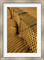 Framed New Jersey, Cape May, Fence Shadow On Shore Sand