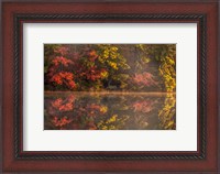 Framed New Jersey, Belleplain State Fores,t Autumn Tree Reflections On Lake