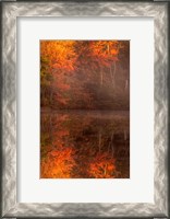 Framed New Jersey, Belleplain State Forest, Autumn Tree Reflections On Lake