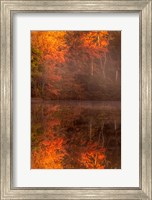 Framed New Jersey, Belleplain State Forest, Autumn Tree Reflections On Lake