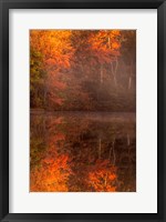 Framed New Jersey, Belleplain State Forest, Autumn Tree Reflections On Lake