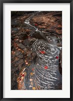 Framed New York, Adirondack State Park Stream Eddies