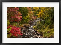 Framed New York, Adirondack State Park Stream And Forest In Autumn