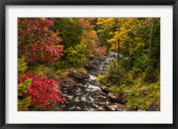 Framed New York, Adirondack State Park Stream And Forest In Autumn