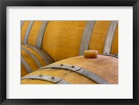 Framed Oregon, Elk Cove Winery Oak Barrels Close-Up