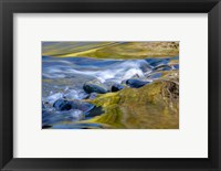 Framed Oregon Abstract Of Autumn Colors Reflected In Wilson River Rapids
