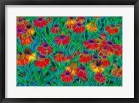 Framed Oregon, Coos Bay, Abstract Of Helenium Flowers In Garden