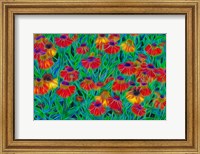 Framed Oregon, Coos Bay, Abstract Of Helenium Flowers In Garden