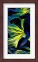 Framed Oregon, Cape Arago Abstract Photo Of Pacific Bull Kelp