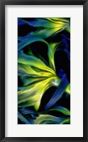 Framed Oregon, Cape Arago Abstract Photo Of Pacific Bull Kelp