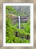 Framed Silver Falls State Park, Oregon South Falls And Trail Leading To It