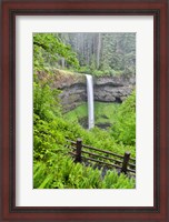 Framed Silver Falls State Park, Oregon South Falls And Trail Leading To It