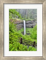 Framed Silver Falls State Park, Oregon South Falls And Trail Leading To It