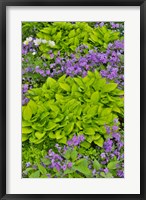 Framed Spring Colors, Chanticleer Garden, Pennsylvania 1