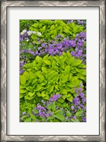 Framed Spring Colors, Chanticleer Garden, Pennsylvania 1