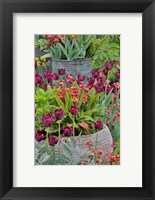 Framed Colorful Planters At Entrance To Chanticleer Garden, Pennsylvania