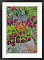 Framed Colorful Planters At Entrance To Chanticleer Garden, Pennsylvania