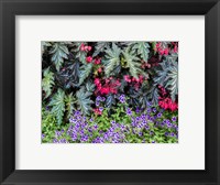 Framed Indoor Garden With A Variety Of Spring Blooming Flowers