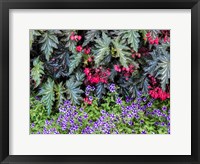 Framed Indoor Garden With A Variety Of Spring Blooming Flowers