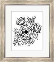 Framed Flower Sketch II