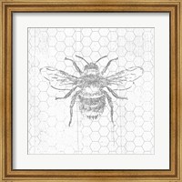Framed Grey Bee