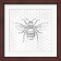 Framed Grey Bee