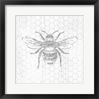 Framed Grey Bee