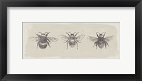 Framed Three Bees